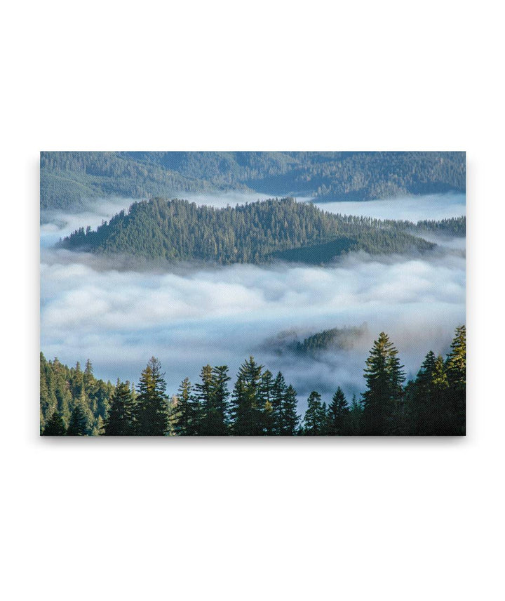 Valley and Marine Layer, Umpqua National Forest, Oregon, USA