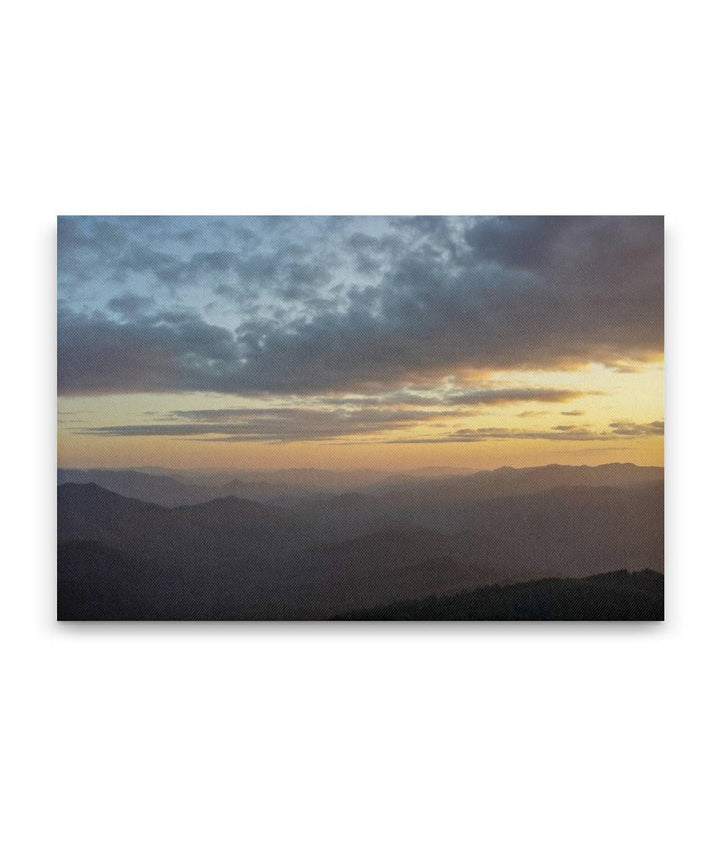 HJ Andrews Forest at Sunset, Willamette National Forest, Oregon