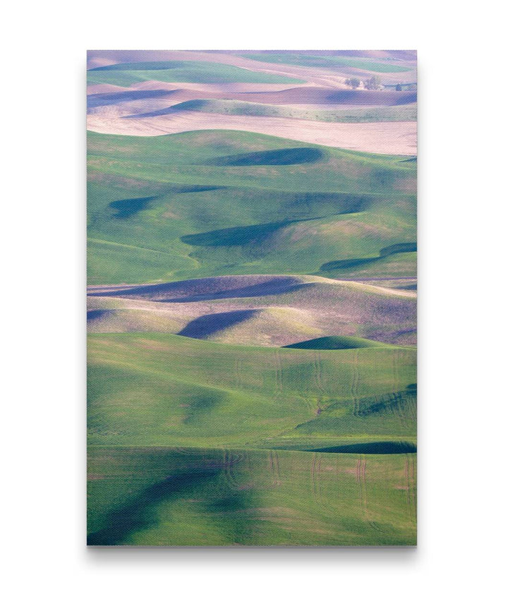 Palouse Hills, Steptoe Butte State Park, Washington