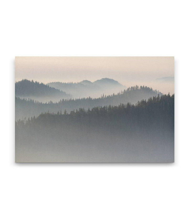 Heavy Wildfire Smoke, Willamette National Forest, Oregon