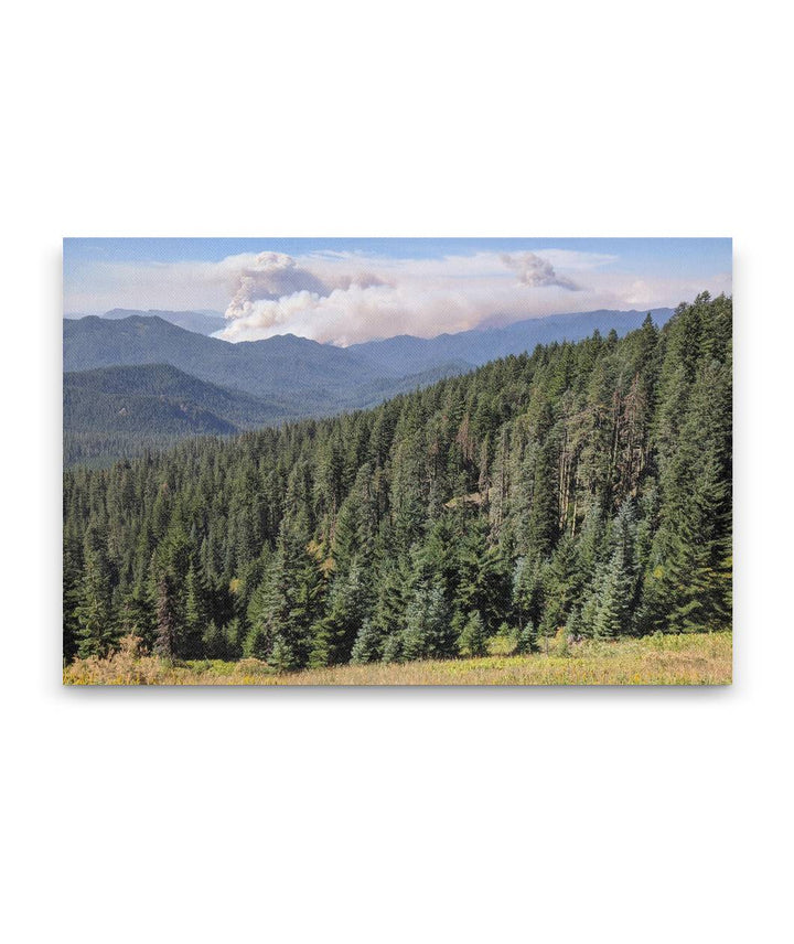 Holiday Farm Wildfire, HJ Andrews Forest, Oregon