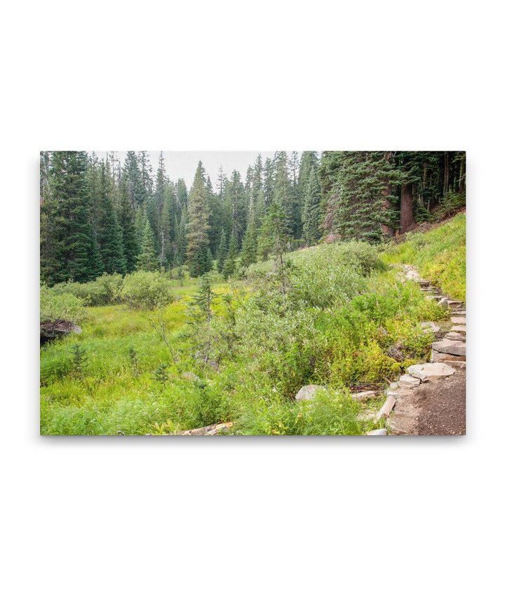 Castle Crest Wildflower Garden, Crater Lake National Park, Oregon, USA