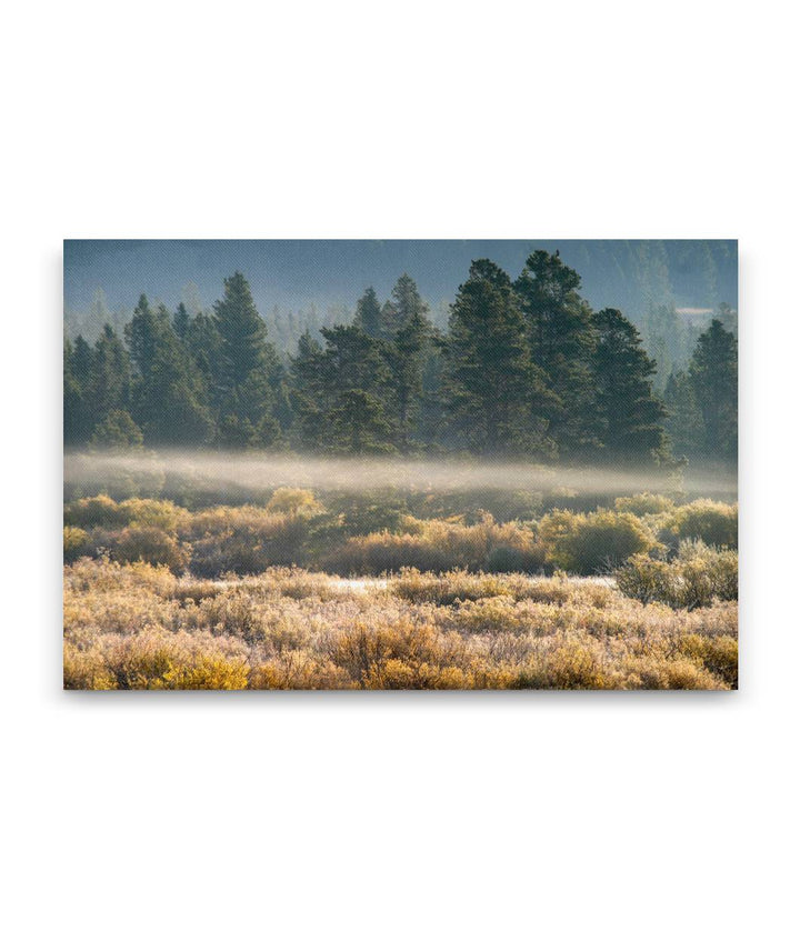 Blackfoot River Floodplain In Autumn, Montana, USA