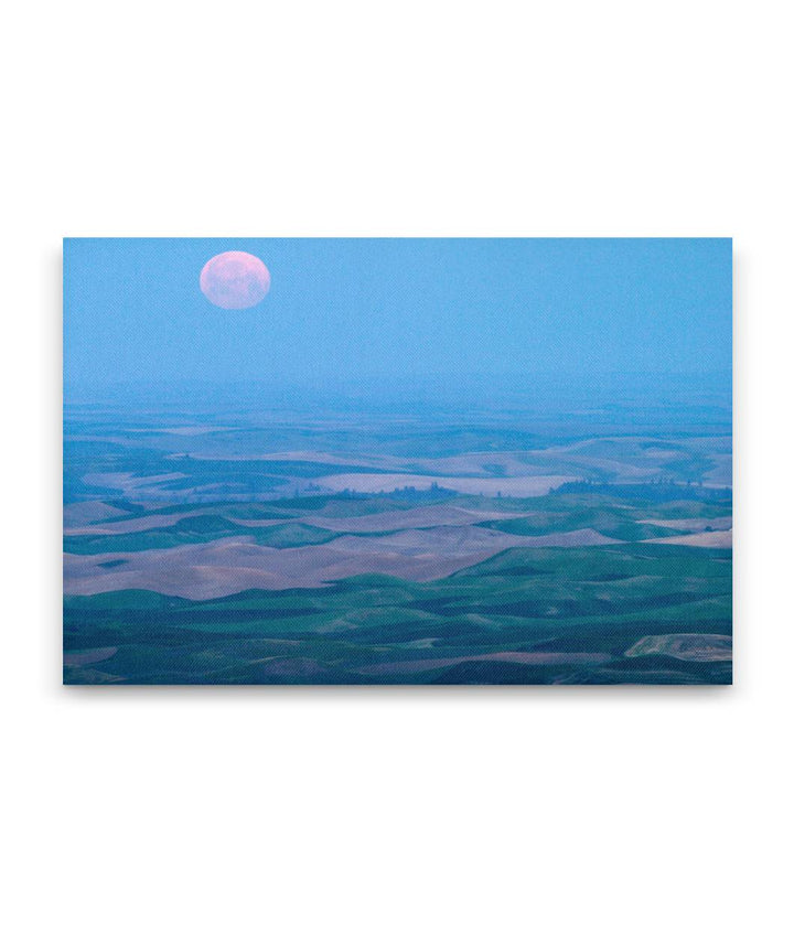 Moonset During Morning Twilight, Palouse hills prairie, Steptoe Butte State Park, Washington