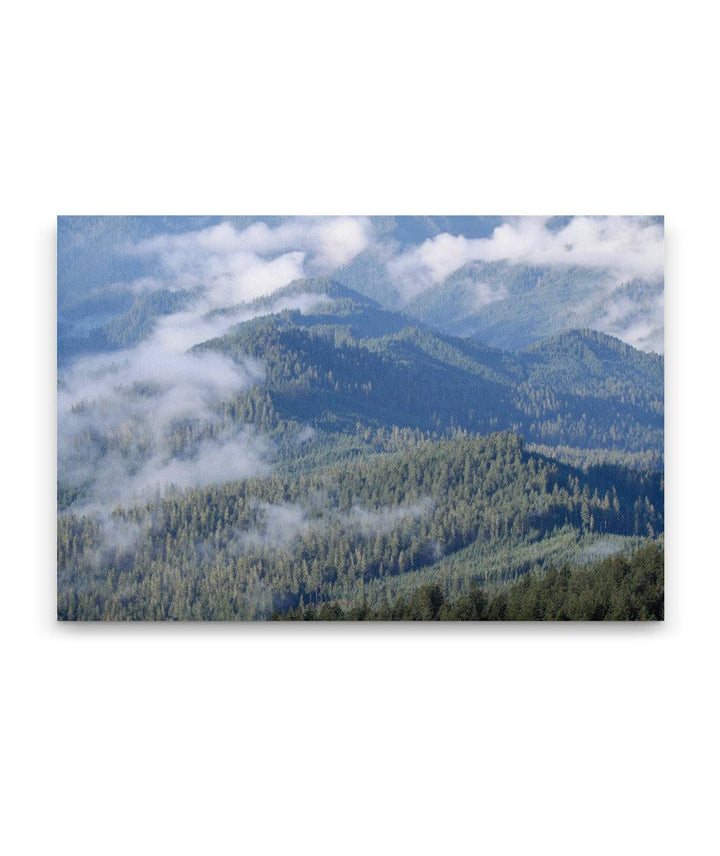 Low Clouds and Blue River Ridge, HJ Andrews Forest, Oregon