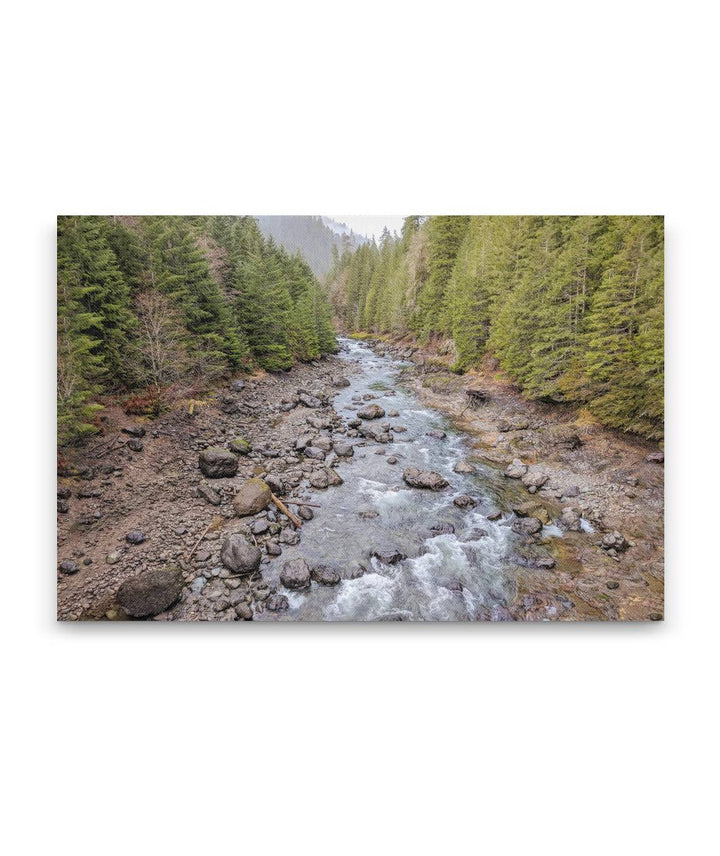 Blue River, Willamette National Forest, Oregon, USA