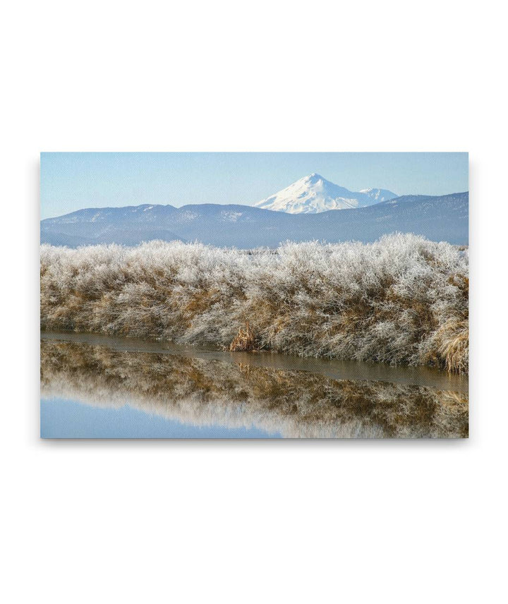 Mount Shasta From Lower Klamath National Wildlife Refuge, California