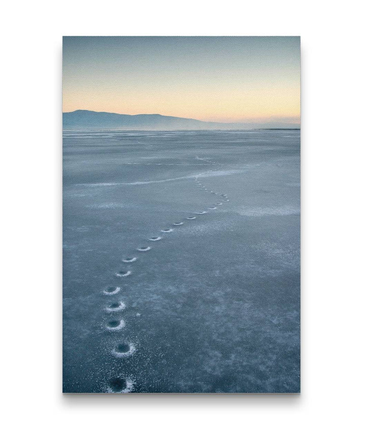 Coyote Tracks in Ice, Lower Klamath National Wildlife Refuge, California