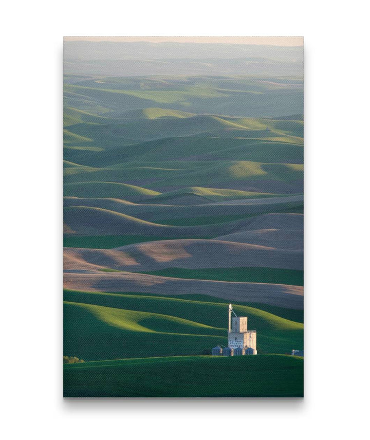 Palouse Hills, Steptoe Butte State Park, Washington