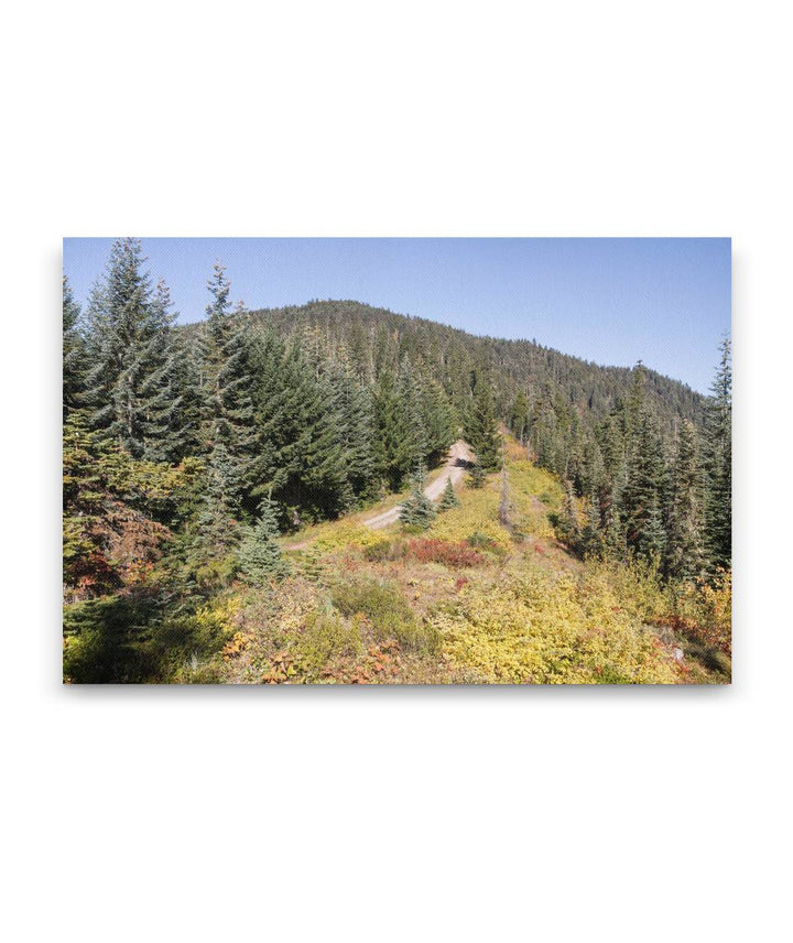 Carpenter Saddle and Carpenter Mountain, HJ Andrews Forest, Oregon, USA