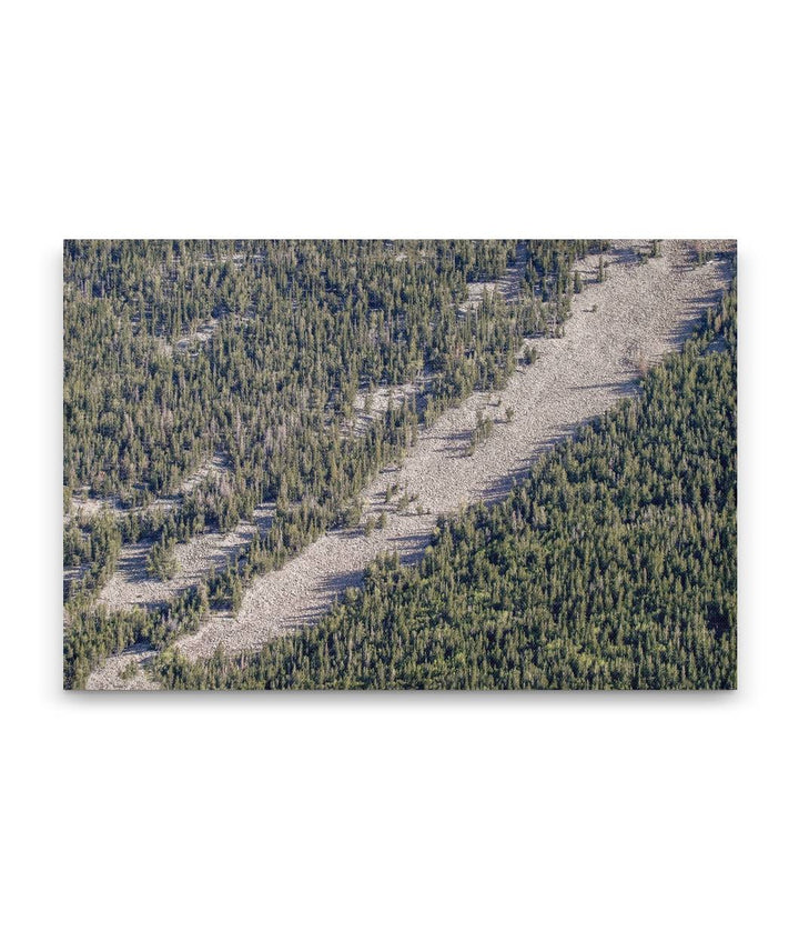 Talus Slope and Mixed Conifer Forest, Great Basin National Park, Nevada, USA