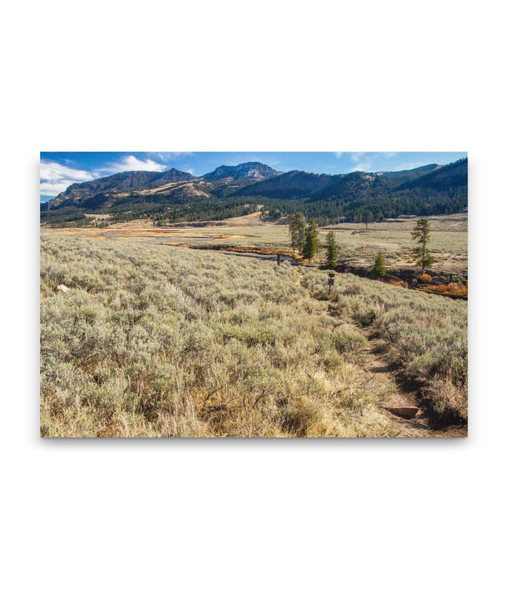 Mount Norris, Lamar River Trail, Lamar Valley, Yellowstone National Park, Wyoming