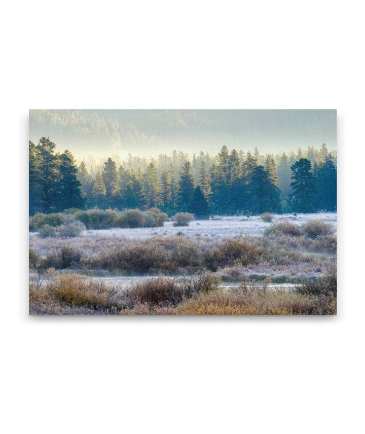 Blackfoot River Floodplain In Autumn, Montana, USA