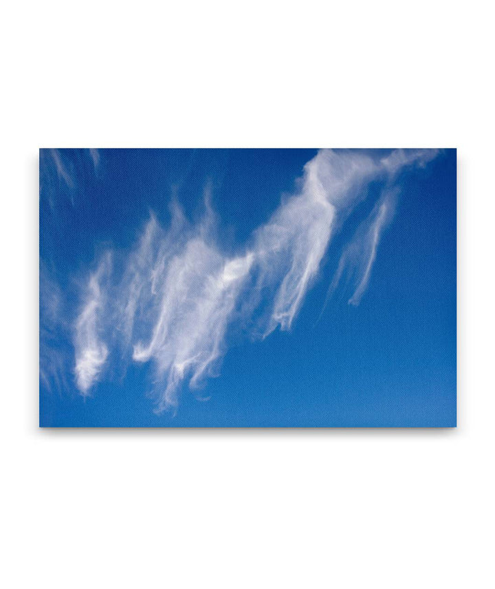 Cirrus clouds and blue skies, Willamette National Forest, Oregon