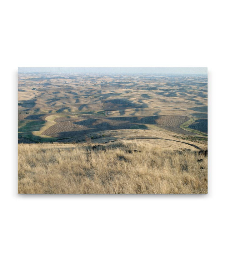 Palouse hills in fall, Steptoe Butte State Park, Washington