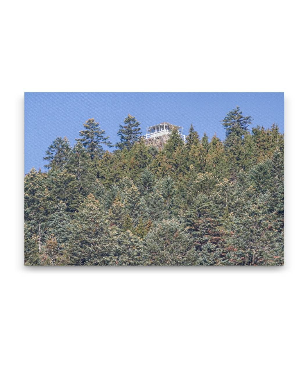 Carpenter Mountain Fire Lookout With Mountain Hemlocks and Noble Firs From Carpenter Saddle, Oregon, USA