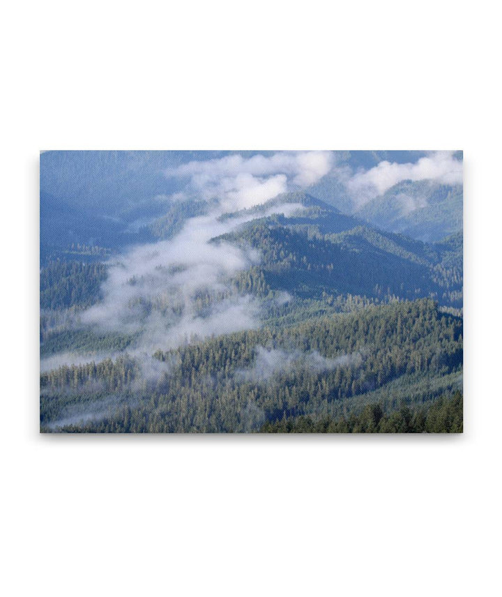 Low Clouds and Blue River Ridge, HJ Andrews Forest, Oregon