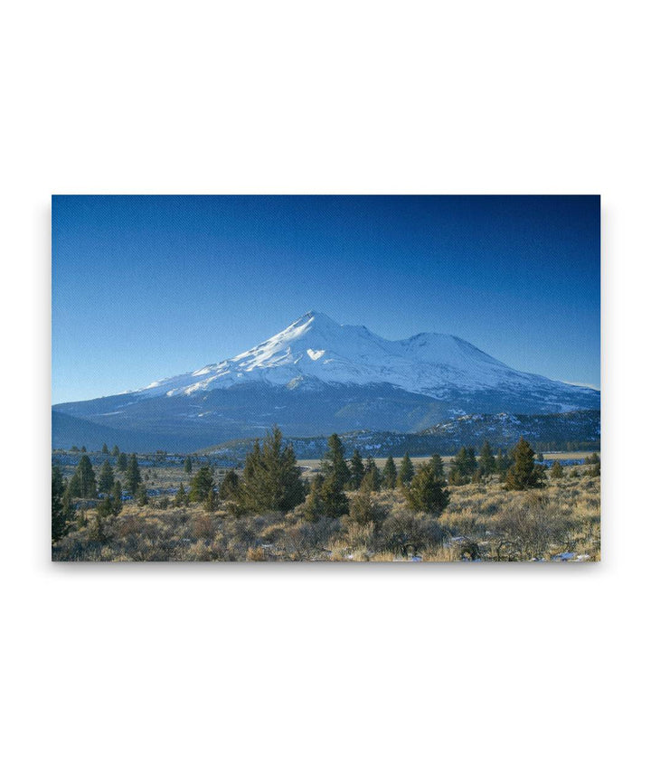 Sagebrush Shrubland and Juniper Woodland With Mount Shasta, Mount Shasta Wilderness, California, USA