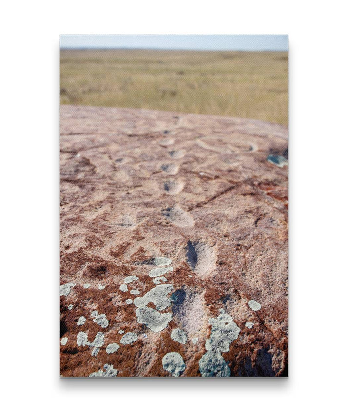 Native American Petroglyphs, Indian Rock, American Prairie Reserve, Montana