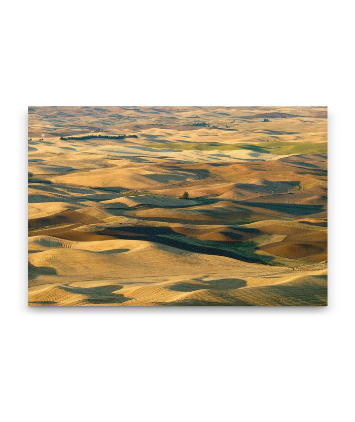 Fall-colored Palouse Hills, Steptoe Butte State Park, Washington