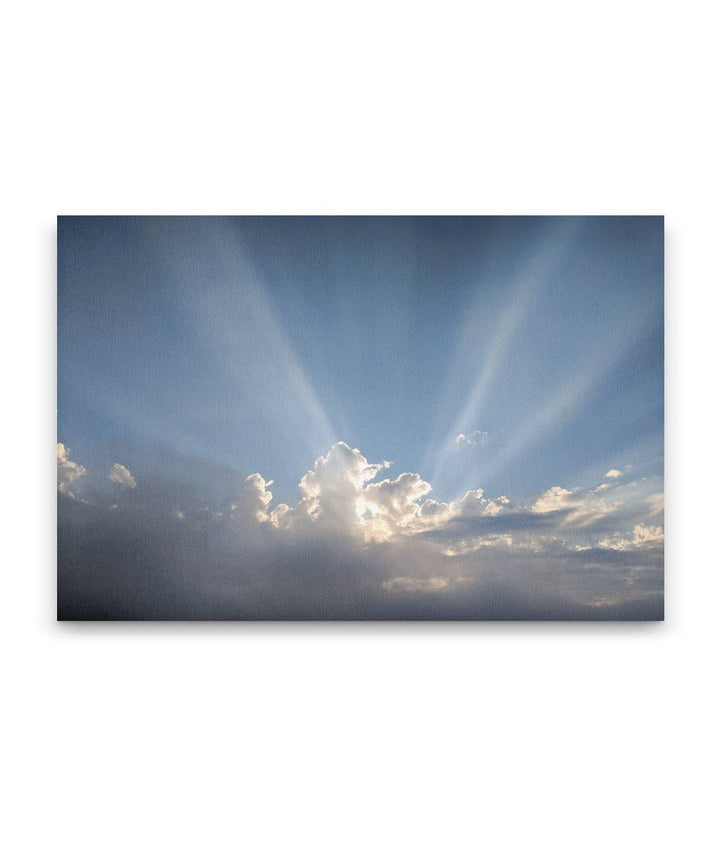 Anticrepuscular Rays Over Cascades Mountains, Willamette National Forest, Oregon