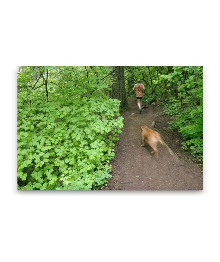 Dog and Runner on trail, Spencer Butte Park, Eugene, Oregon, USA