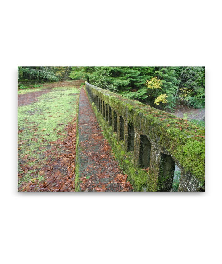 Robert H Madsen Memorial Bridge, Humboldt Redwoods State Park, California, USA